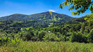 Doğanın güzel manzarası