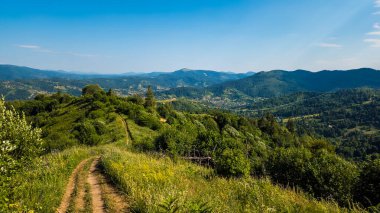 Karpat dağlarının yaz manzarası güneşli bir günde