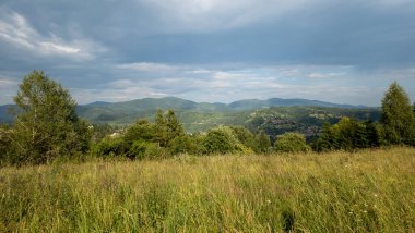 Karpatlar manzarada yaz