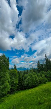Ormanda dağları olan güzel bir manzara.