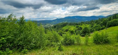 Yaz dağı manzarası. Yeşil tepeler ve orman