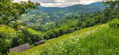 Karpatların dağlarında güzel bir manzara.