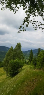 Arkasında bir dağ olan güzel bir manzara.