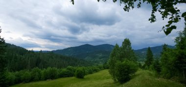 Yeşil orman ve dağlar