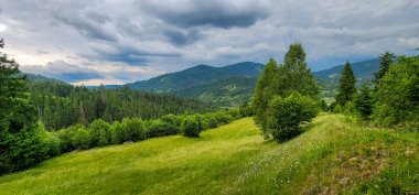 Karpatlarda Yaz manzarası