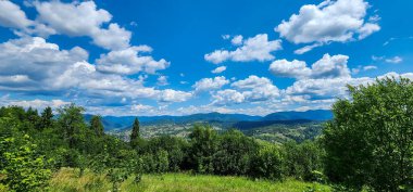 Yeşil orman ve mavi bulutlu gökyüzü ile yaz manzarası.