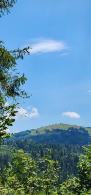 Dağlarda yeşil ağaçlar