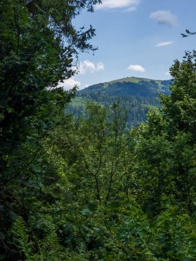 Doğanın güzel manzarası