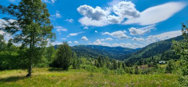 Dağ sırası olan güzel bir manzara.
