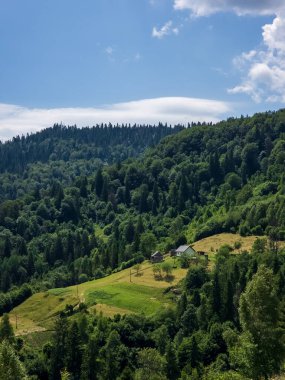 yeşil orman ve tepeler