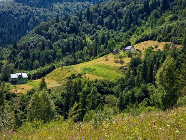 Arka planda dağ sırası olan güzel bir manzara..