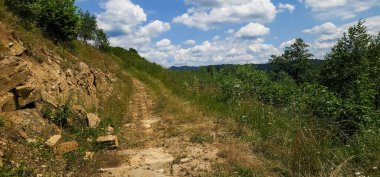 Arkasında bir dağ olan güzel bir manzara.