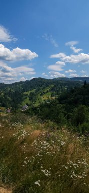 Arkasında bir dağ olan güzel bir manzara.