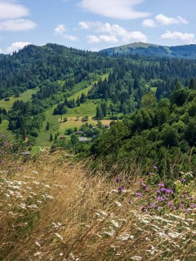 Dağların yaz manzarası