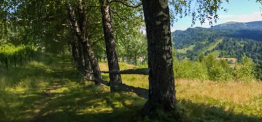 İsviçre Alplerindeki dağ yolundan yaz manzarası