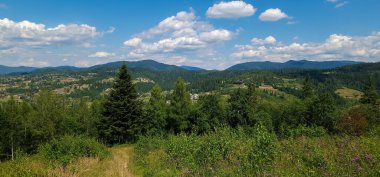 Karpatların dağlarının manzarası. yaz günü