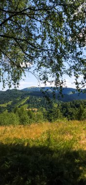 Dağlarda nehri olan güzel bir manzara.