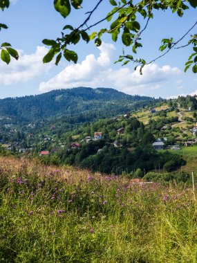Güneşli bir yaz gününde Ukraynalı Karpatların köyünün manzarası.