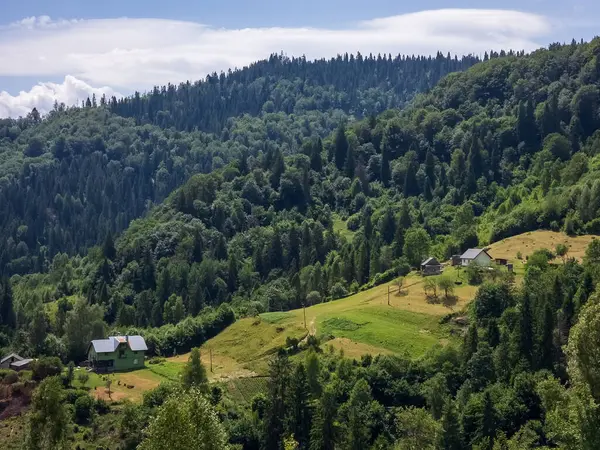 Mavi gökyüzü, bulutlar ve ormanla yeşil dağ manzarası