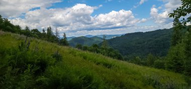Arkasında bir dağ olan güzel bir manzara.