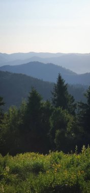 Dağlarda dağları olan güzel bir manzara.