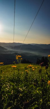 Romanya 'nın dağlarında gündoğumu