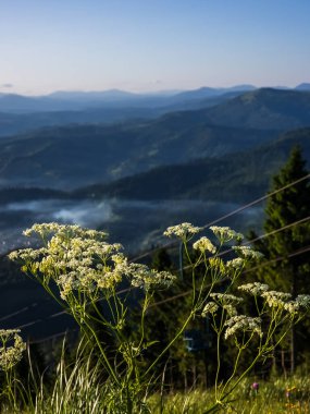 Dağlarda dağları olan güzel bir manzara.
