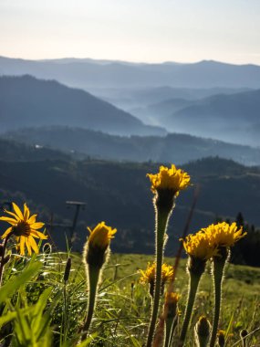 Çiçeklerle ve mavi gökyüzüyle dağların güzel manzarası