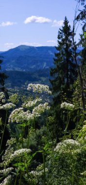 ththach doğal parkının sıradağları