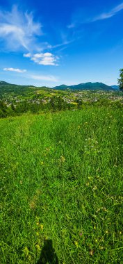 Mavi gökyüzü ve beyaz bulutlu yeşil tarlaların yaz manzarası