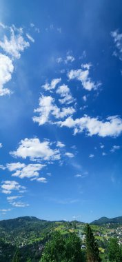 Güzel bir manzara Ağacı ve mavi gökyüzü