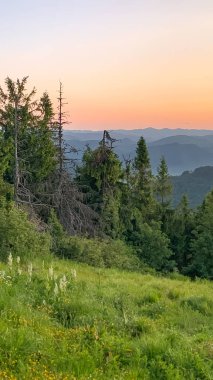 Güneşin doğuşu, dağların zirvesinde.
