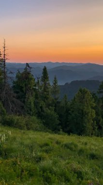 Ormanın üzerinde gün batımı