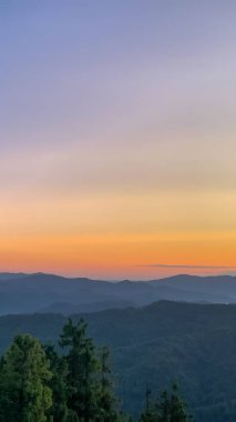 Çam ormanlı günbatımı manzarası. Renkli ağaçlar. Önde güzel bir günbatımı.