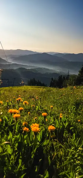 Dağlarda güzel bir gün batımı