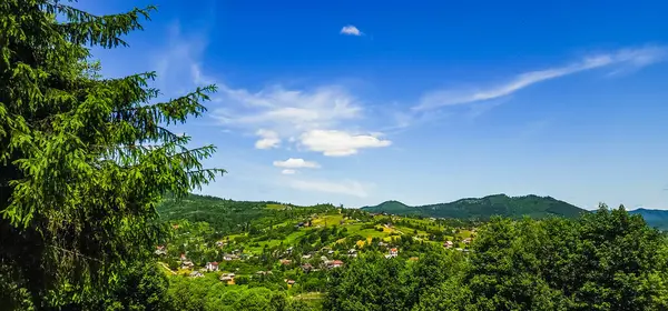 Yazın güzel dağ manzarası