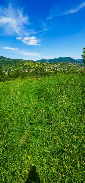 Mavi gökyüzü ve beyaz bulutlu yeşil tarlaların yaz manzarası