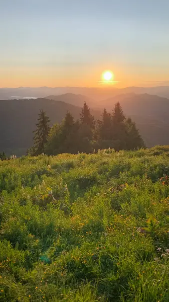 Ormanı olan bir dağın tepesinde gün batımı yazın güneş, Karpatlar, Ukrayna.