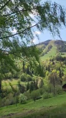 Dağlardaki güzel dağ manzarası