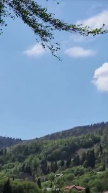 yeşil ağaçlar ve mavi bulutlu gökyüzü