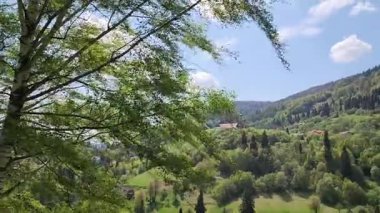 Yaz günlerinde dağ yamaçlarında yeşil orman