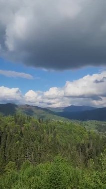 Arka planda orman olan güzel dağ manzarası