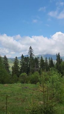 Karpat dağının manzarası.