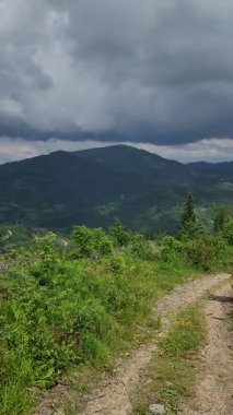 Karpat Dağları 'nın güzel manzarası