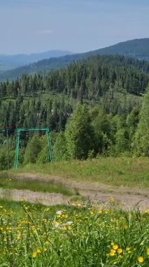 Arkasında bir dağ olan güzel bir manzara.