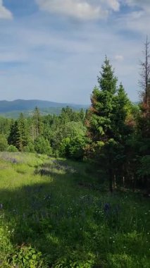 Arkasında bir dağ olan güzel bir manzara.