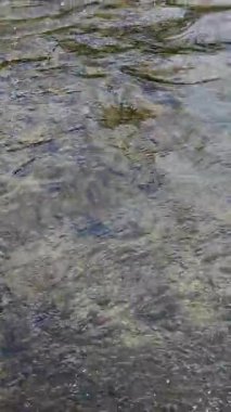 Suyun ortasında su ve kayalarla dolu bir nehir.