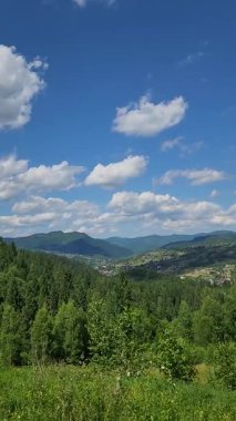 Yeşil çimenler ve ağaçlarla dolu güzel bir yaz manzarası