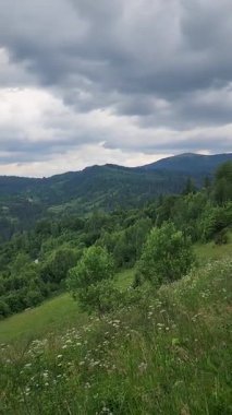 Ukrayna Karpatlar güzel dağ manzarası