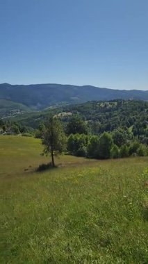 Arkasında bir dağ olan güzel bir manzara.